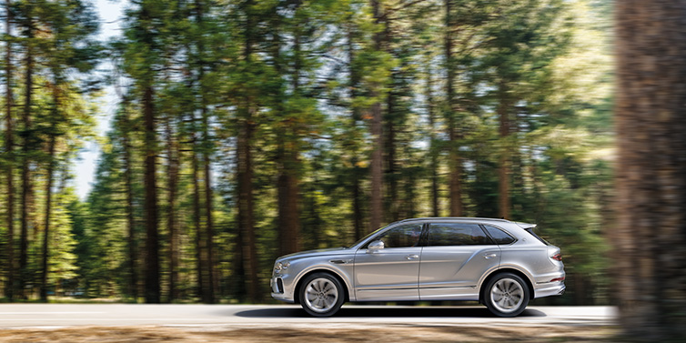 Bentley Singapore Bentley Bentayga Extended Wheelbase SUV in Moonbeam paint driving dynamically on a forest road